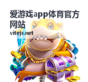 爱游戏app体育官方网站足球赛季深度回顾